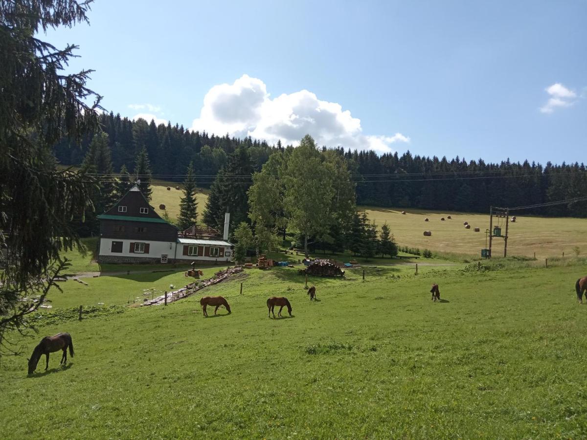 Penzion La Baita Branna Luaran gambar